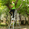 Little Giant Multi-Function Aluminum Ladder
