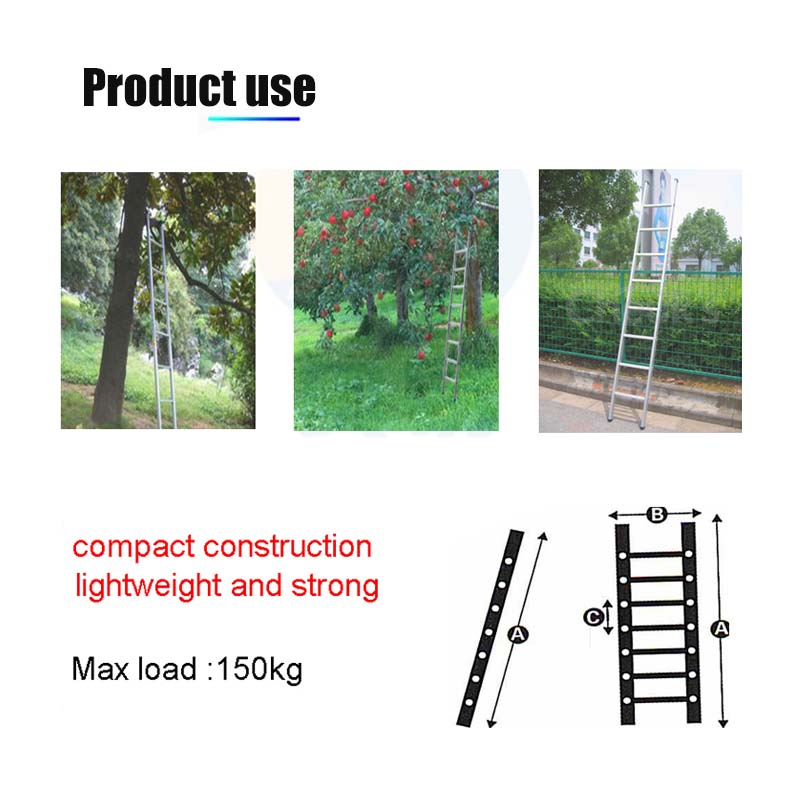 single ladder